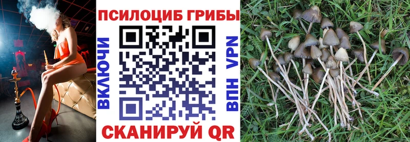 купить наркотик  Магас  Псилоцибиновые грибы ЛСД 