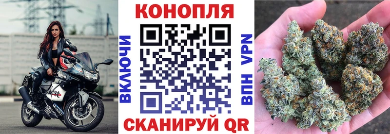 Бошки марихуана гибрид  Магас 
